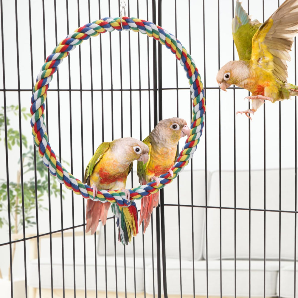 Wontee percha escalada para aves coloridas, favorece coordinación y juego diario.