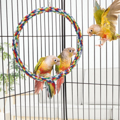 Wontee percha escalada para aves coloridas, favorece coordinación y juego diario.