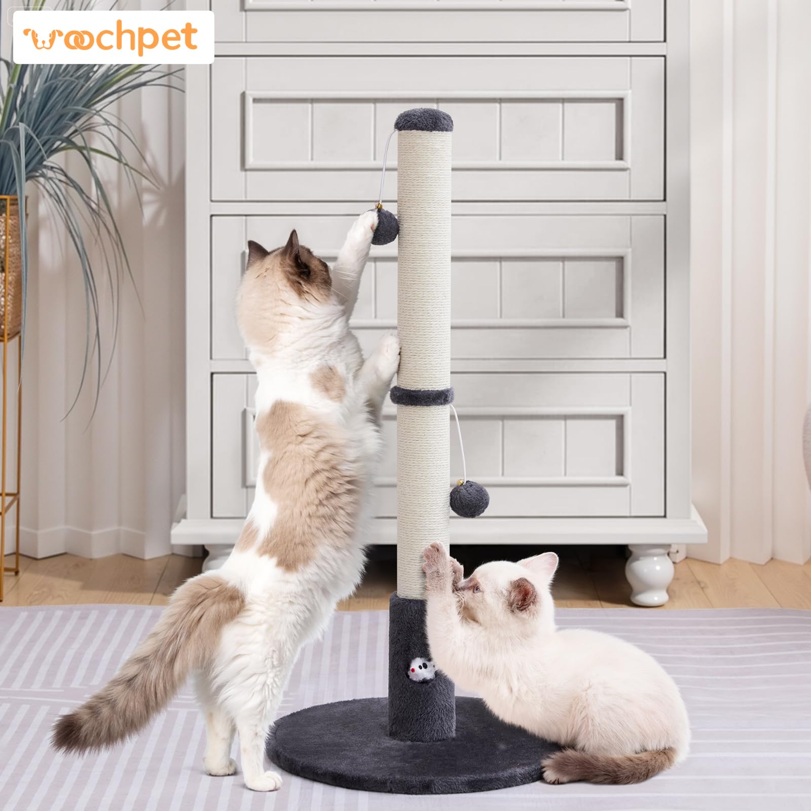 Woochpet uso interior para gatos adultos, diseño seguro y duradero.