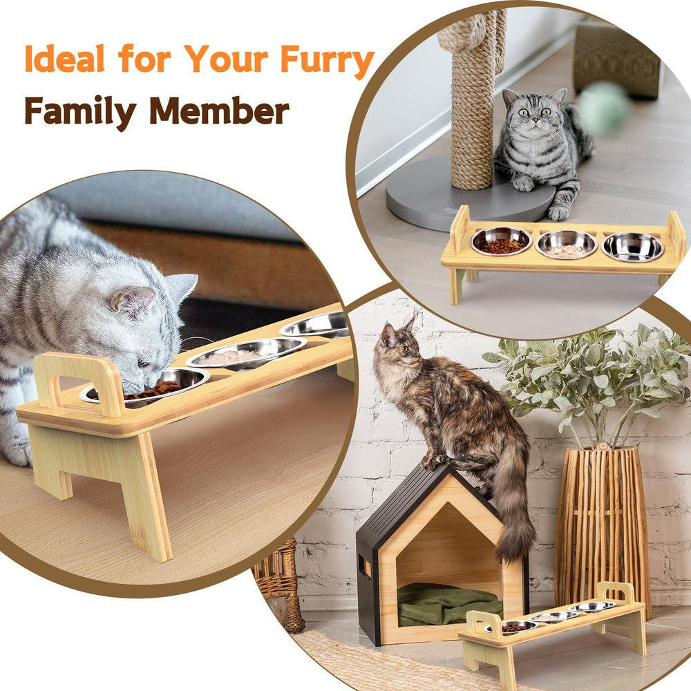 Woodever regalo ideal para amantes de gatos atentos a la salud.