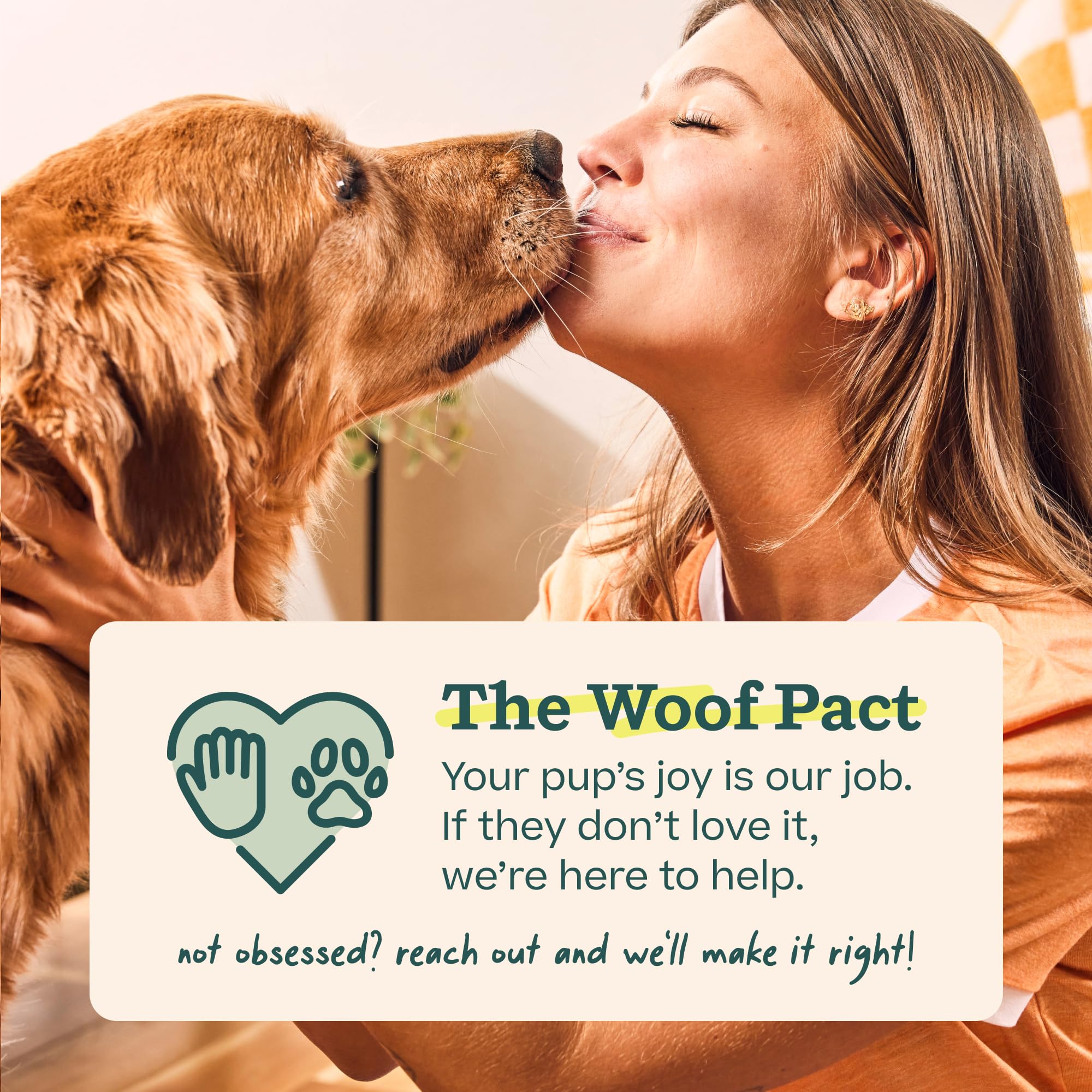 WOOF Bite n' Brush: recargas compatibles para juego y higiene bucal