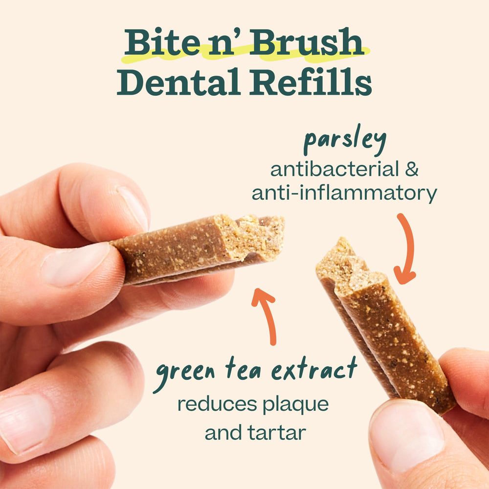 WOOF Bite n' Brush: juguete dental que promueve cepillado suave durante la masticación