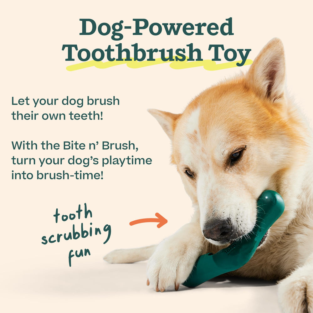 WOOF Bite n' Brush: cuidado oral canino con ingredientes herbales