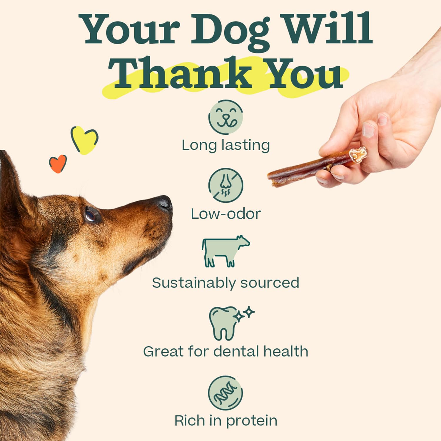 Golosinas WOOF bully sticks sin olor, ingredientes naturales para masticar con seguridad.
