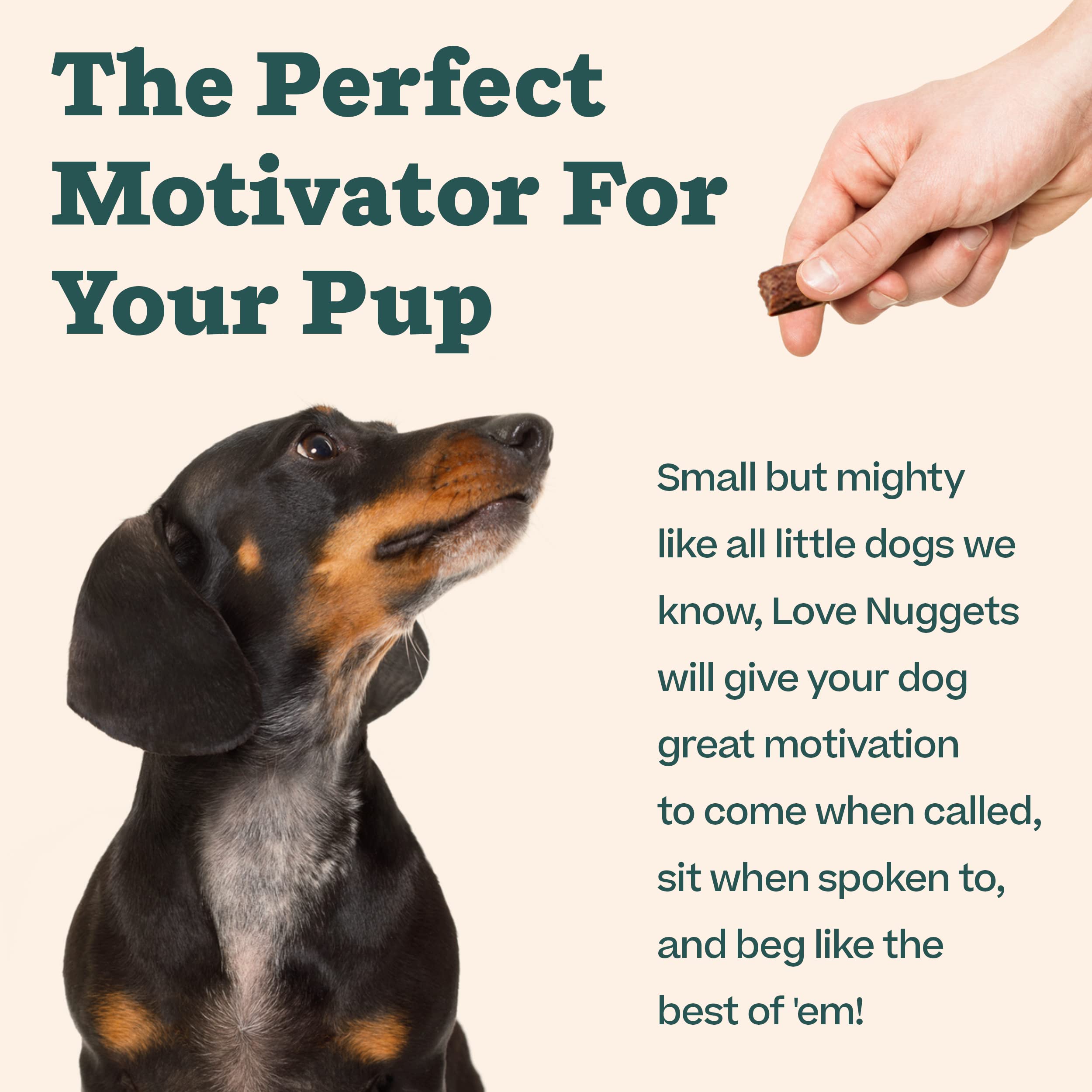 WOOF Love Nuggets outdoor-adventure scene supports training rewards on hikes