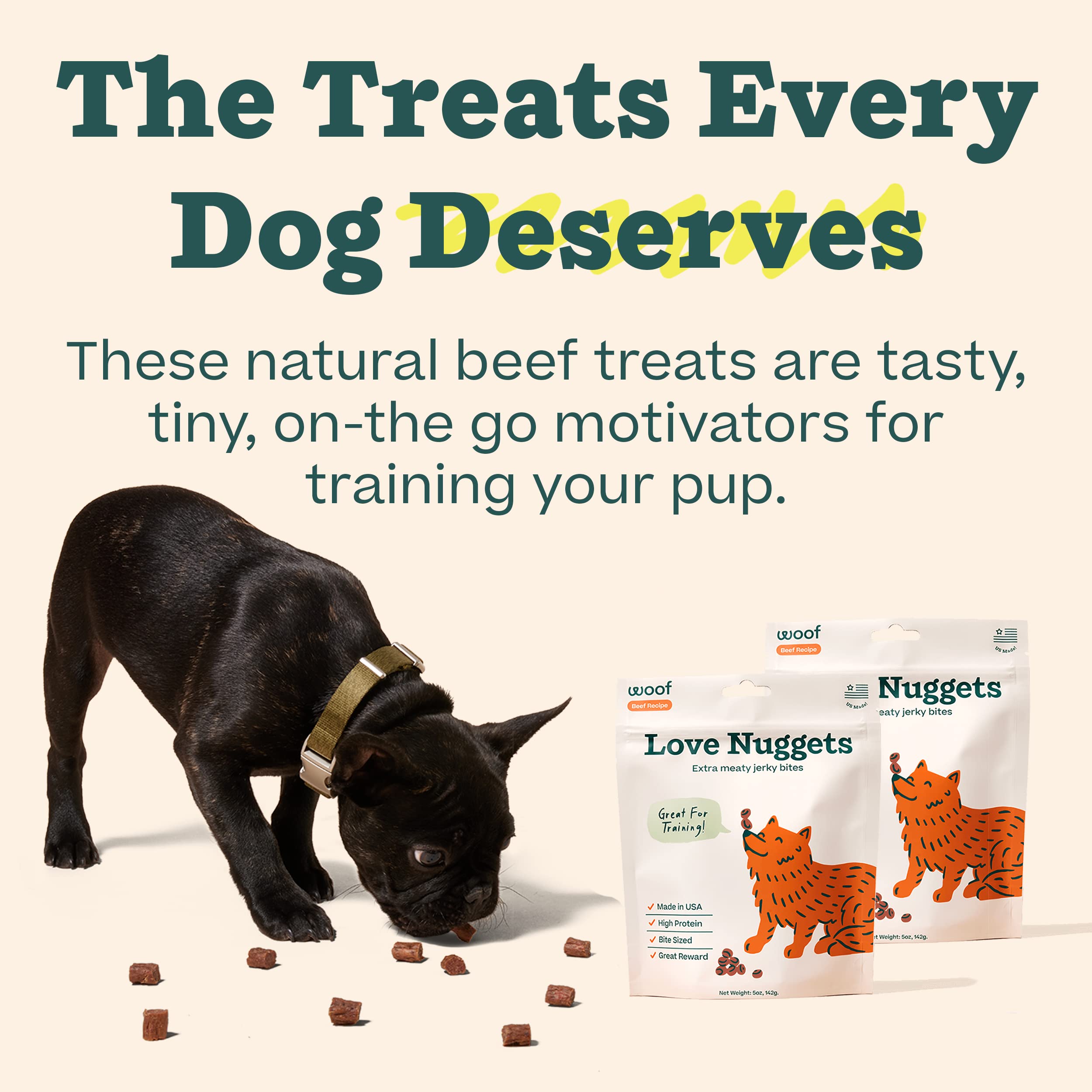 WOOF Love Nuggets training-use-case image shows dog focus during learning