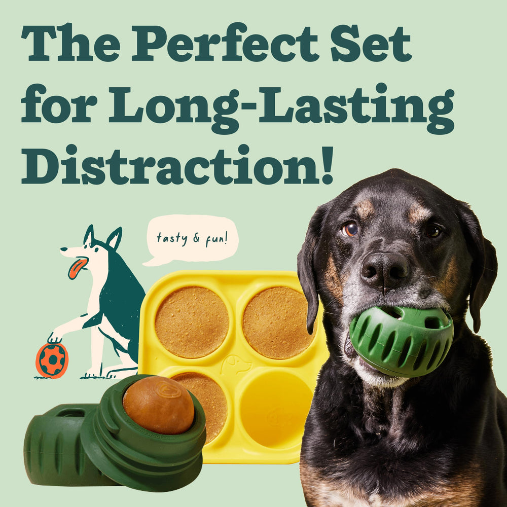 WOOF Pupsicle: bandeja de silicona para golosinas caseras seguras