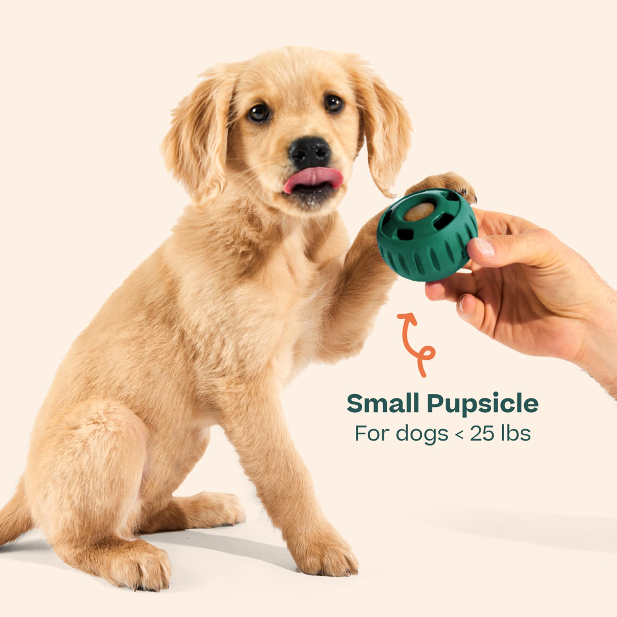 Juego y distracción de 30 minutos con Woof Pupsicle