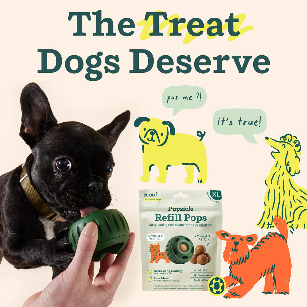 WOOF Pupsicle para aventuras en parques.