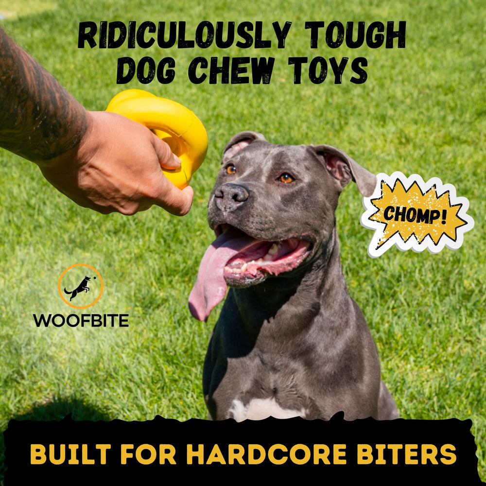 Juguete mordedor durable para perros grandes y activos.