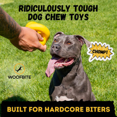 Juguete mordedor durable para perros grandes y activos.