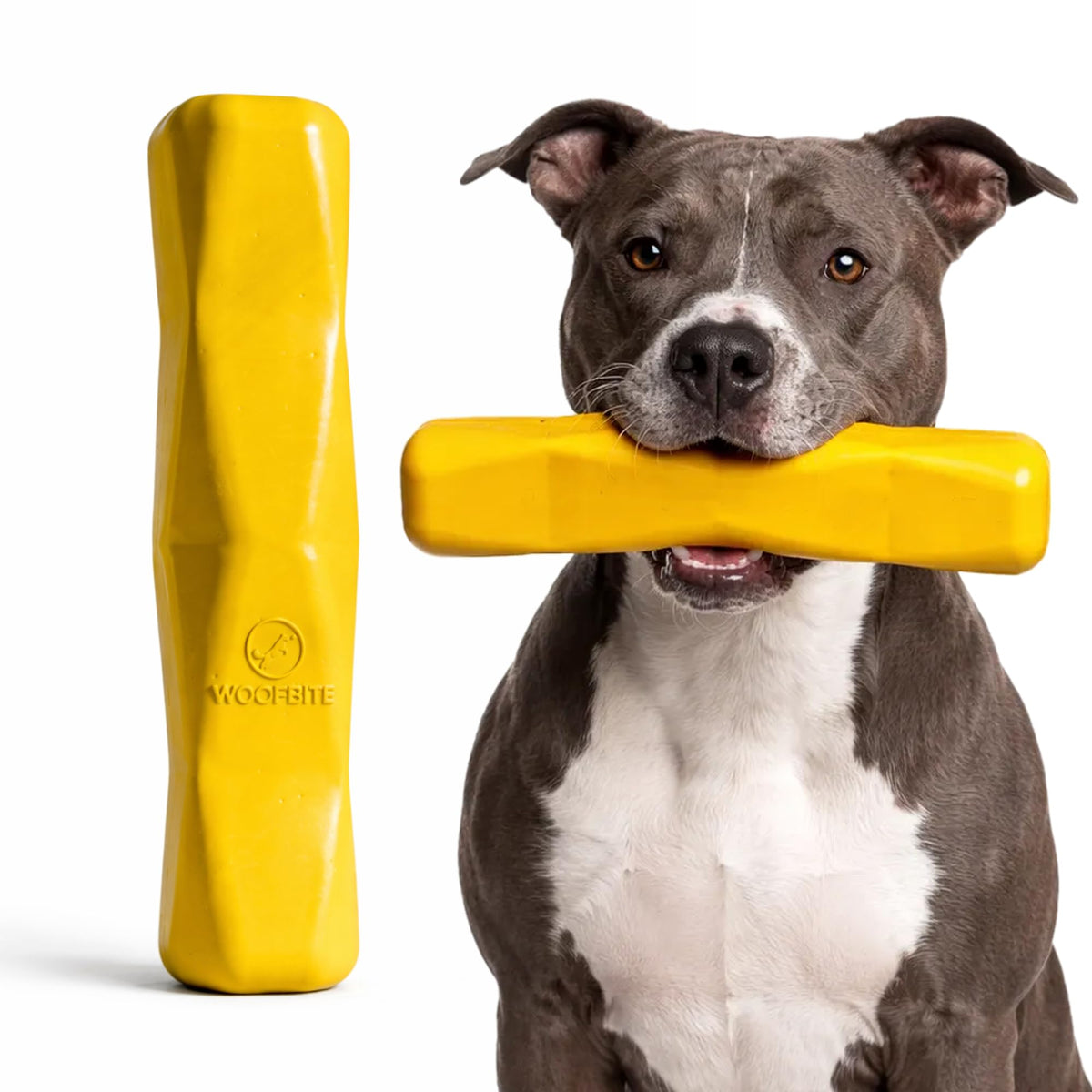 WoofBite Giant XL, bastón amarillo brillante para masticar y jugar fetch.