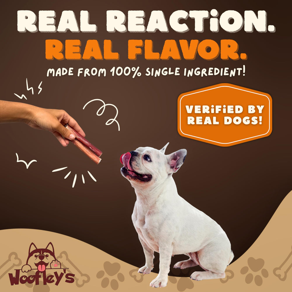 Alternativa natural al rawhide para perros mordedores