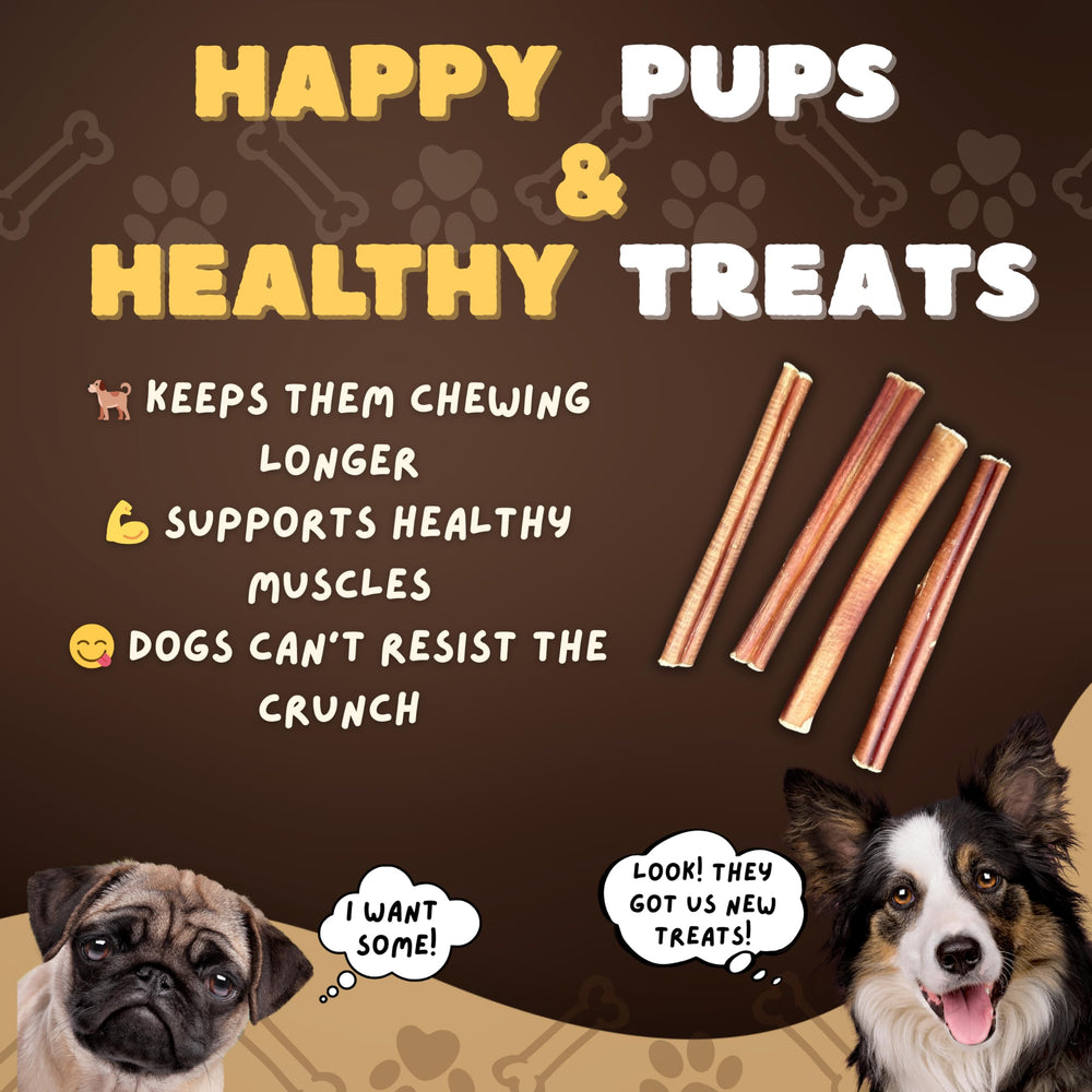 Origen natural de Woofley's Bully Sticks, res de libre pastoreo