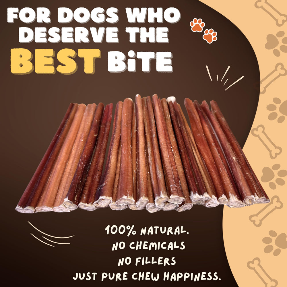 Textura natural de Woofley's Bully Sticks para masticación consciente.