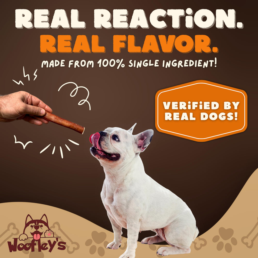 Woofley's digestibilidad fácil, ideal para estómagos sensibles.