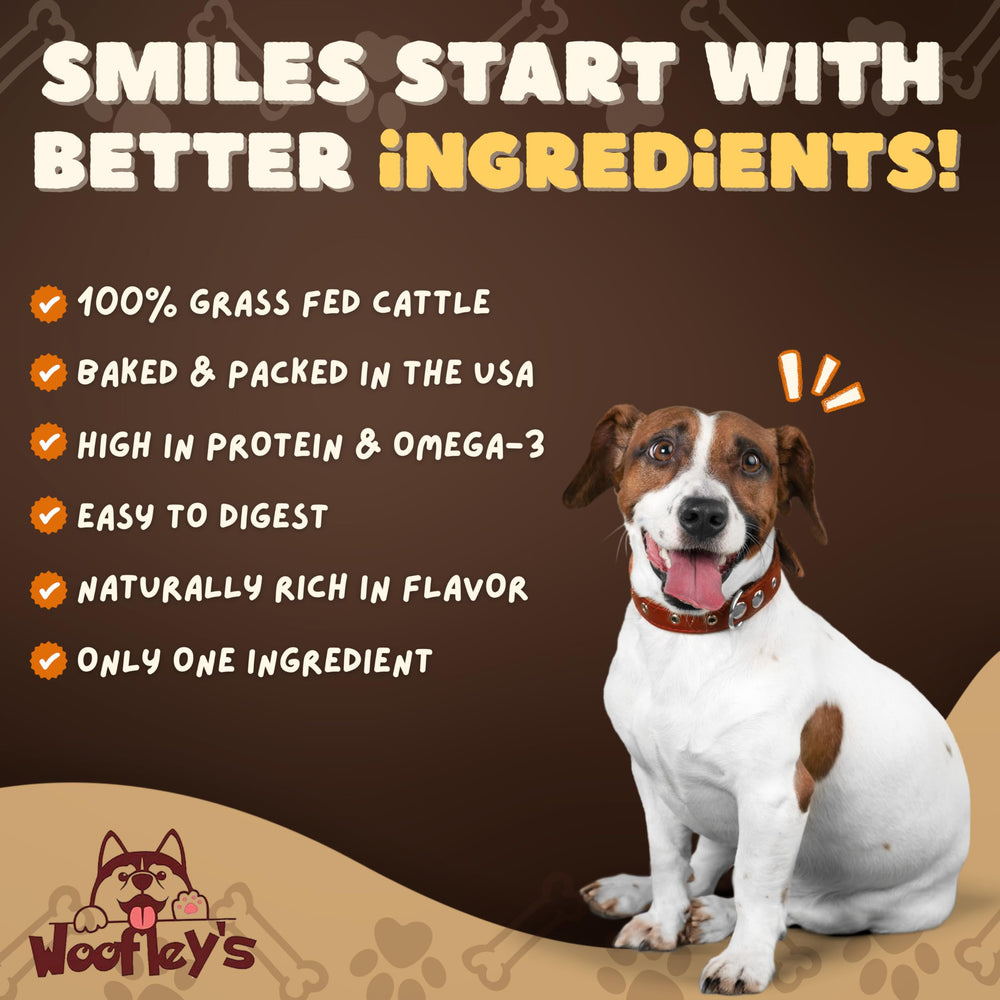 Woofley's ingrediente único, proceso simple y natural para masticar
