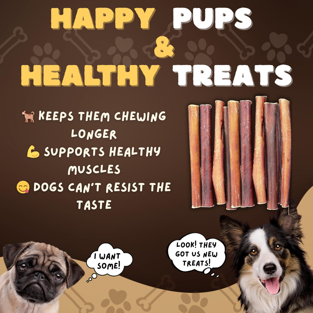 Woofley's mejora higiene dental durante la masticación diaria.