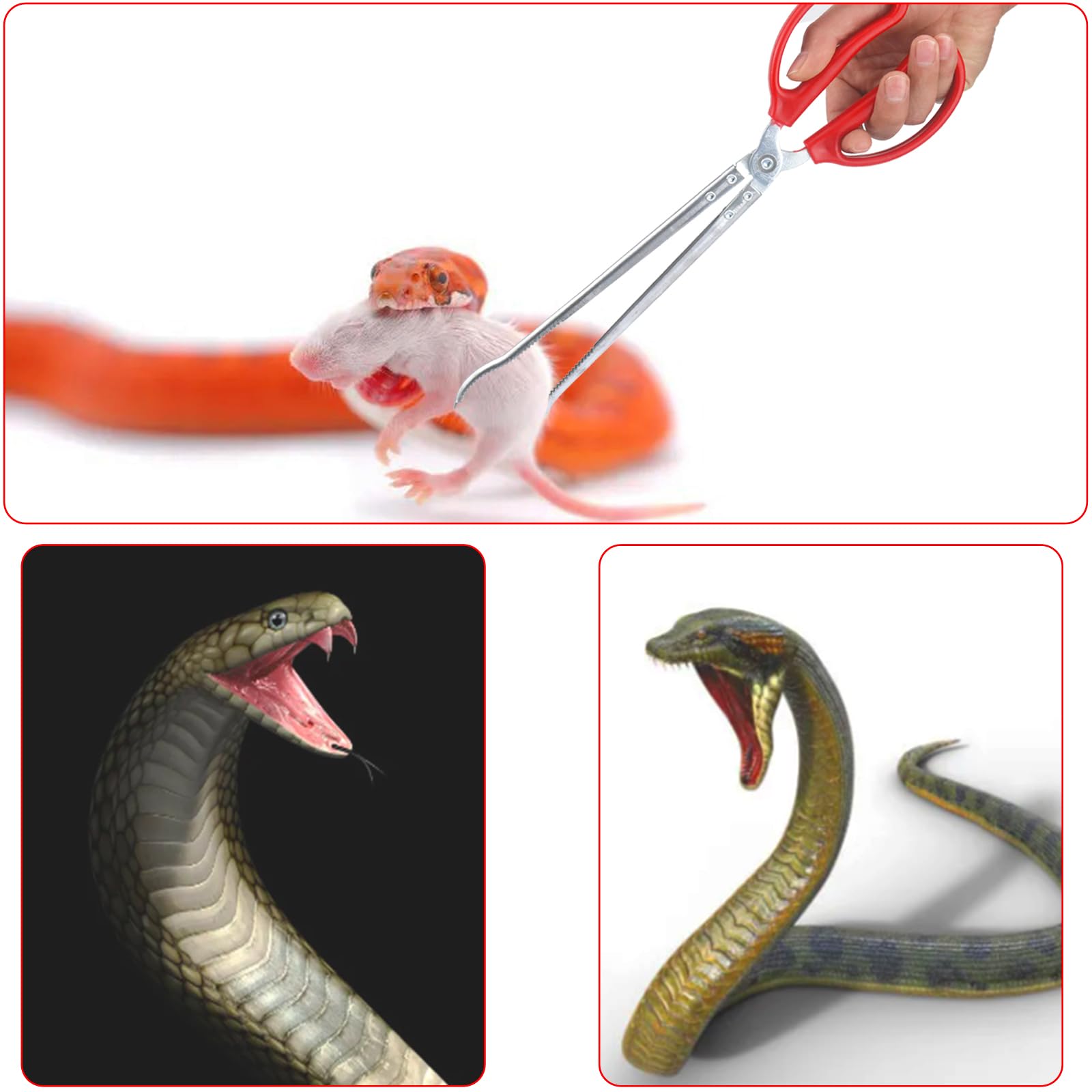 Pinzas WORFACE de 15 pulgadas con recta para manipular reptiles desde la distancia con control.