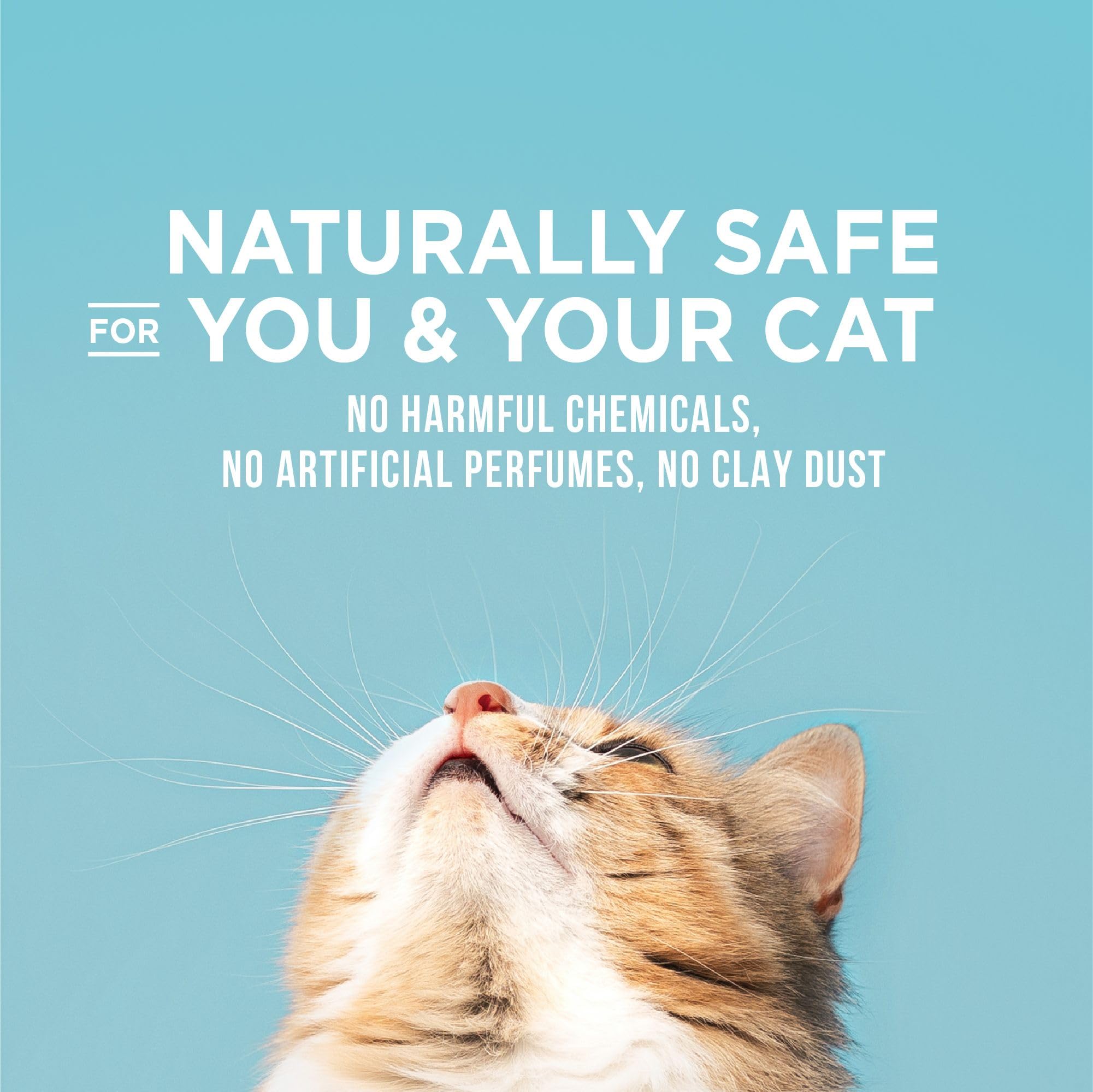 World's Best Cat Litter Poop Fighter polvo 99% libre, menos polvo.