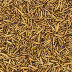 Worm Nerd WN64, snack para aves, ideal como premio nutritivo.