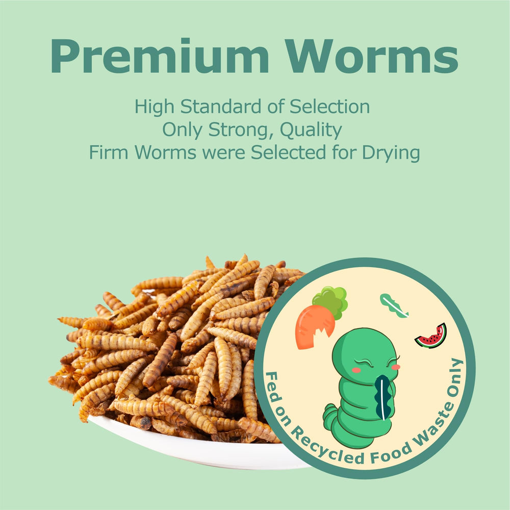 WORMSKING: almacenamiento seco y ordenado para alimento de aves