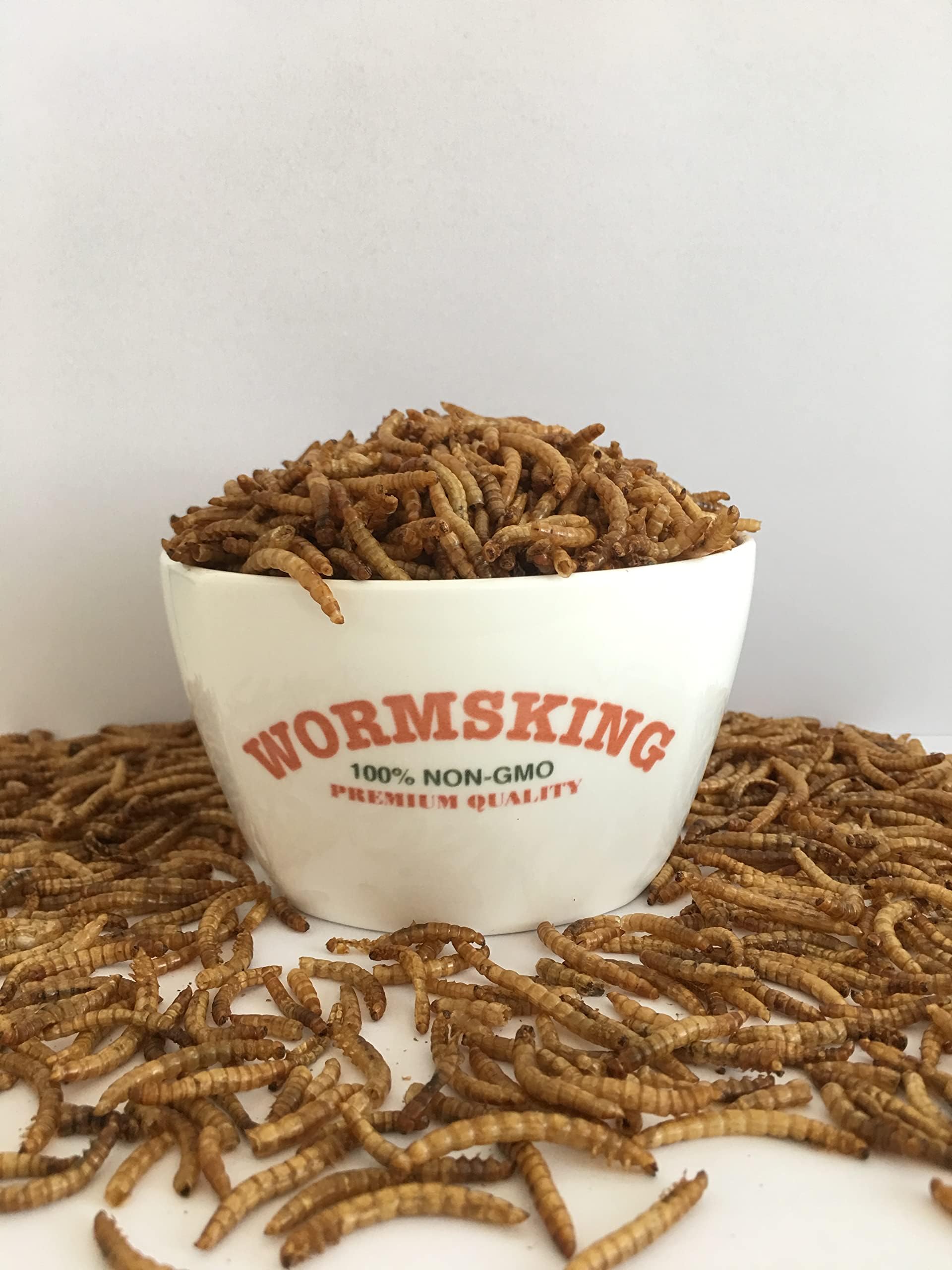 WORMSKING opción natural para pichones, inicia su dieta con BSFL.