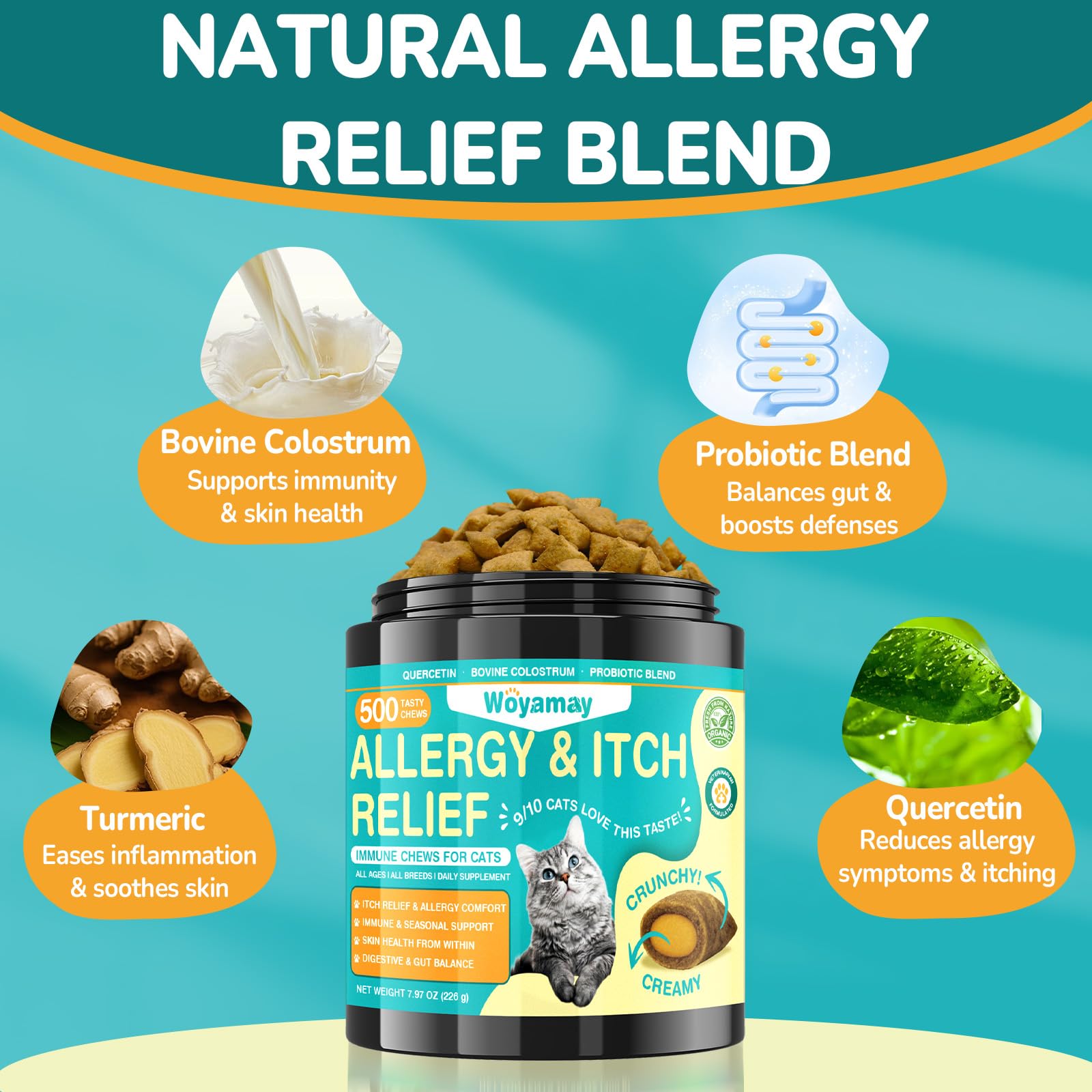 Gato con omega-3 y espirulina de Woyamay para pelaje brillante.