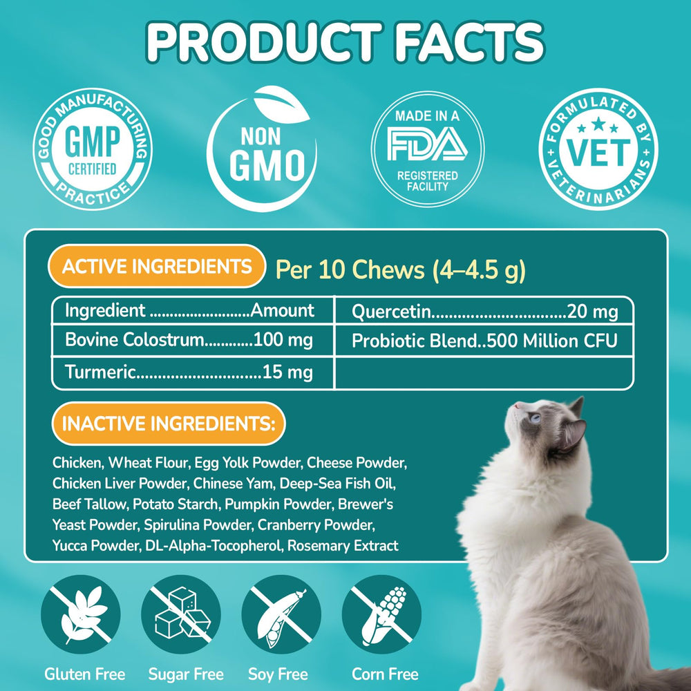 Gato prueba la textura doble de las croquetas Woyamay.