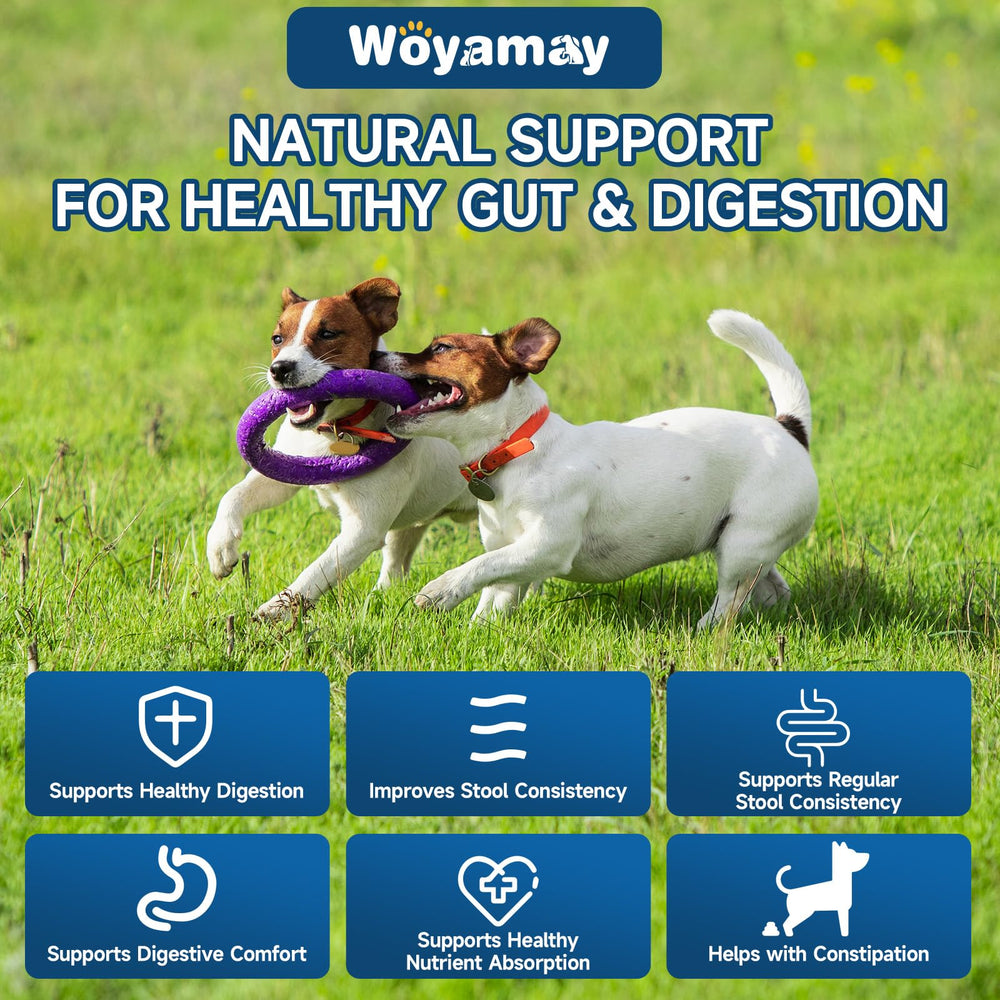 Woyamay probiótico para perros, ingredientes naturales con calabaza y linaza.