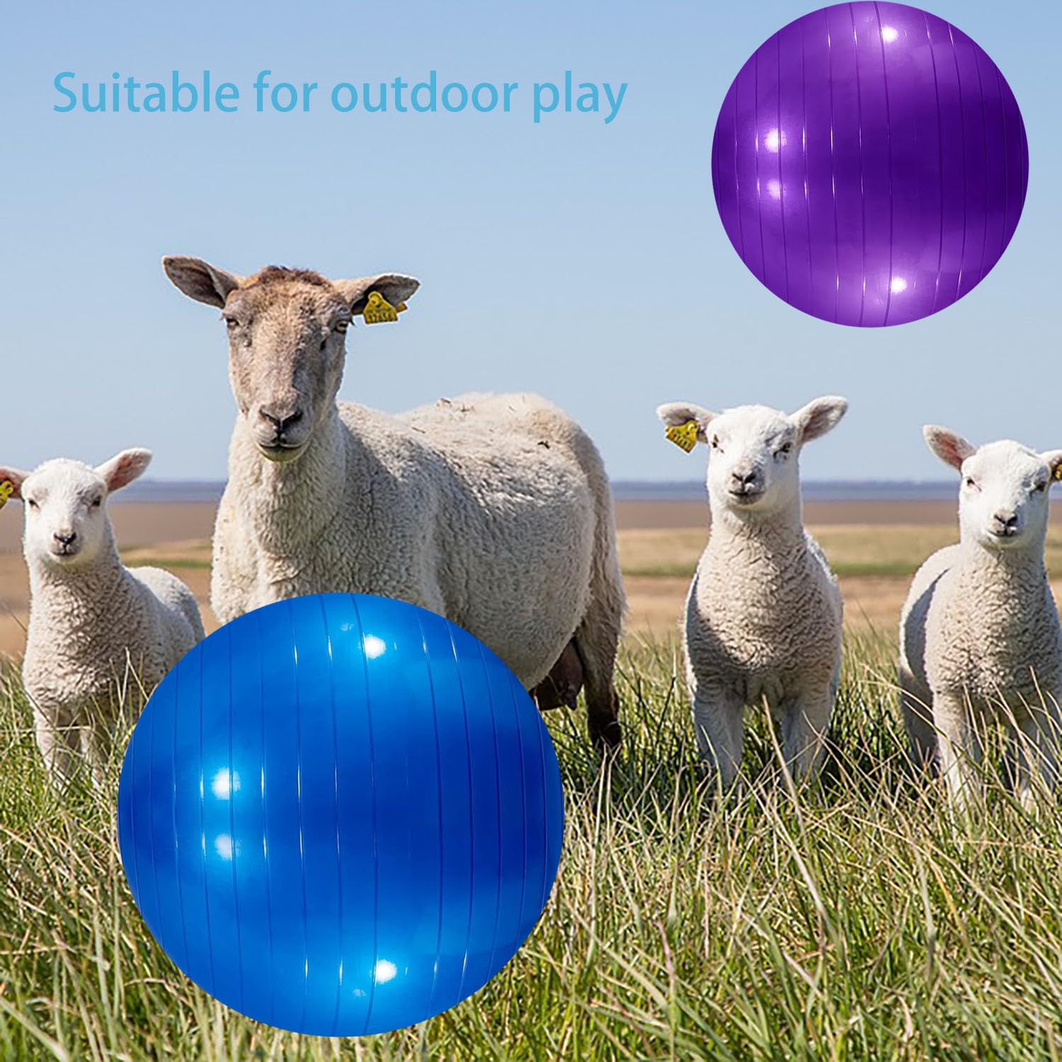 WoYous pelota roja para perros grandes, ideal para juego exterior.