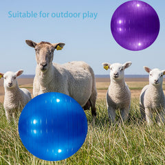 WoYous pelota roja para perros grandes, ideal para juego exterior.