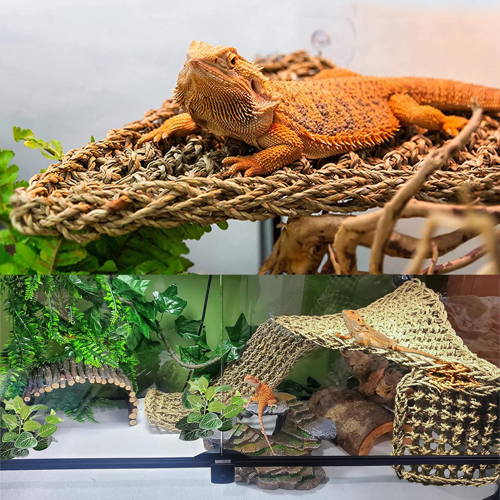 Woyrise: plantas artificiales con ventosas para decorar terrario con seguridad