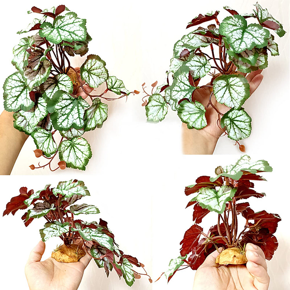 Planta decorativa para reptiles de Woyrise Saxifraga, versátil para hábitats.