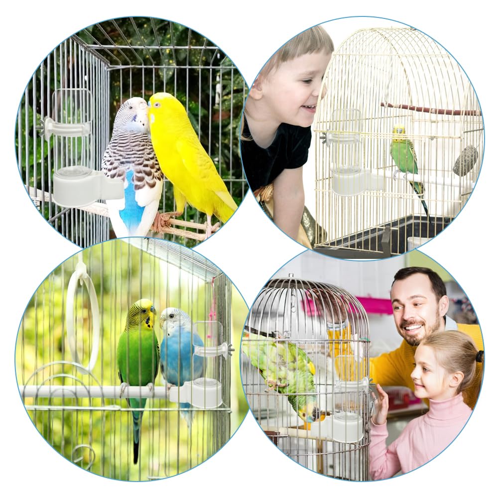 Bebedero WQY para aves pequeñas: fácil de usar y limpiar.