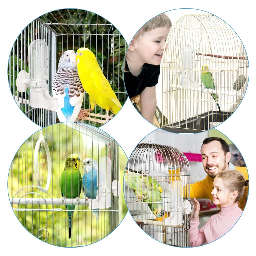 Instalación rápida con WQY GroceryShop en jaula para aves.