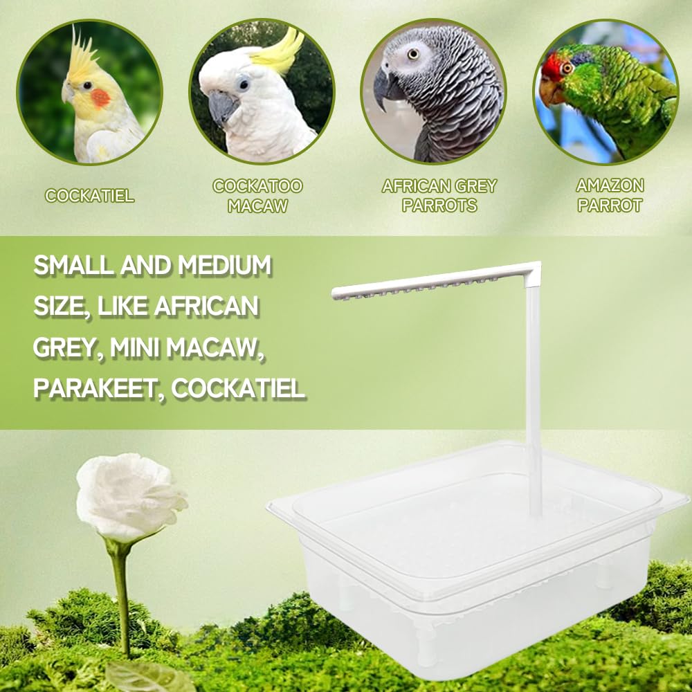 Uso doméstico: fácil instalación para baño de aves en casa.