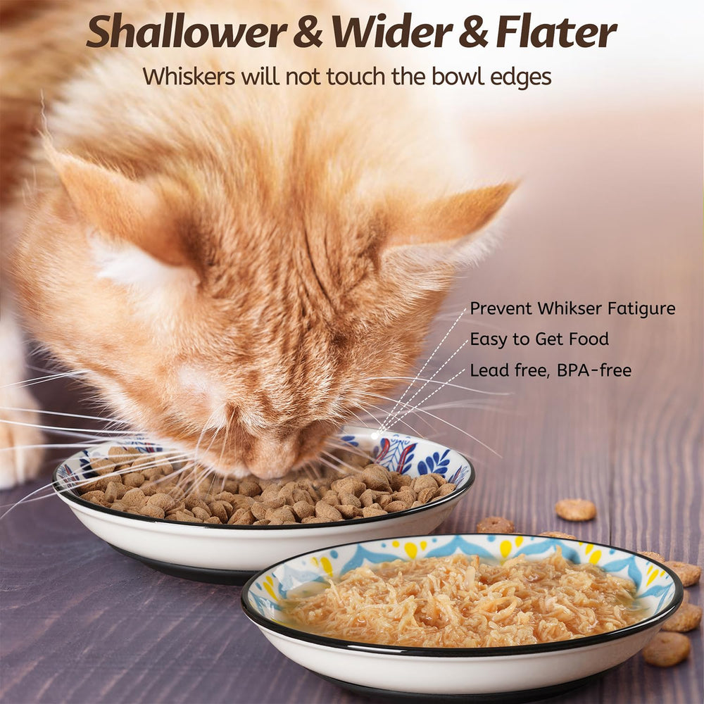 Conjunto de 4 cuencos cerámicos para comida y agua.