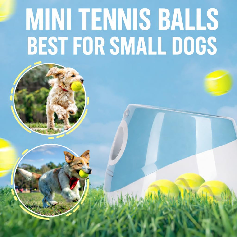 Uso interior y exterior con balón incluido, mantiene activo a tu perro.