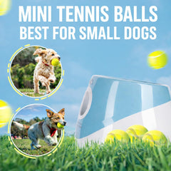 Uso interior y exterior con balón incluido, mantiene activo a tu perro.