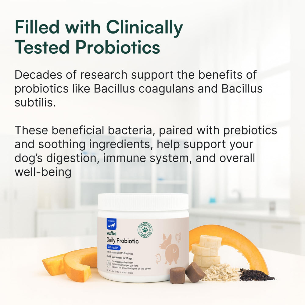 Wuffes Daily Probiotic: bote y etiqueta visibles para uso cotidiano.
