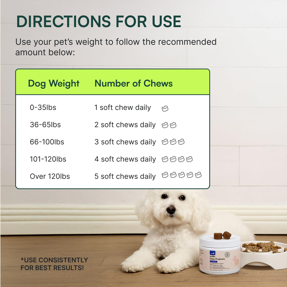 Wuffes Daily Probiotic: producto en mesa, fácil de usar y compartir entre la familia.