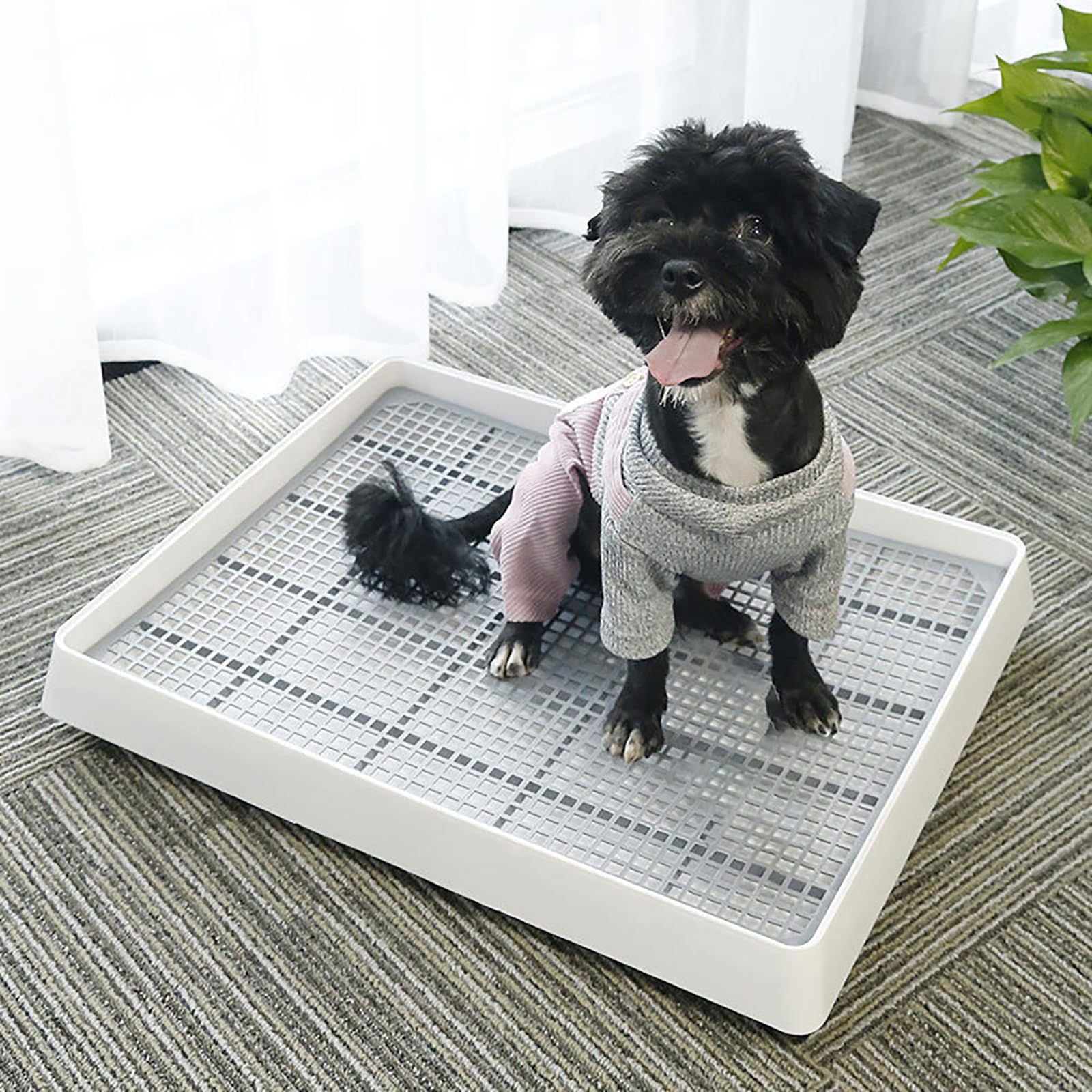Caja WUWEOT de plástico duradero, uso prolongado y limpieza sencilla.