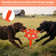 Balón Wyntrium con dibujos divertidos para estimular la curiosidad del perro.