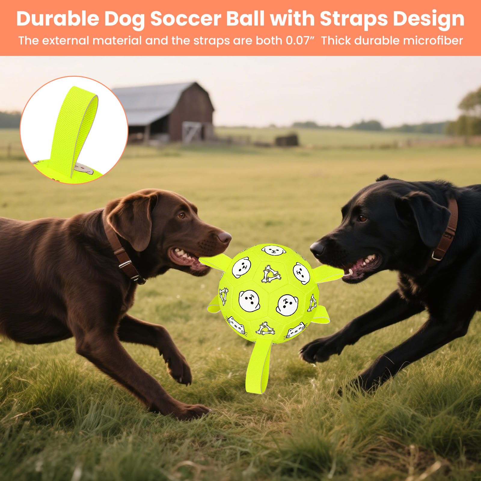Balón de perro que flota, ideal para juegos en agua con WYNTRIUM.
