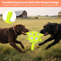 Balón de perro que flota, ideal para juegos en agua con WYNTRIUM.