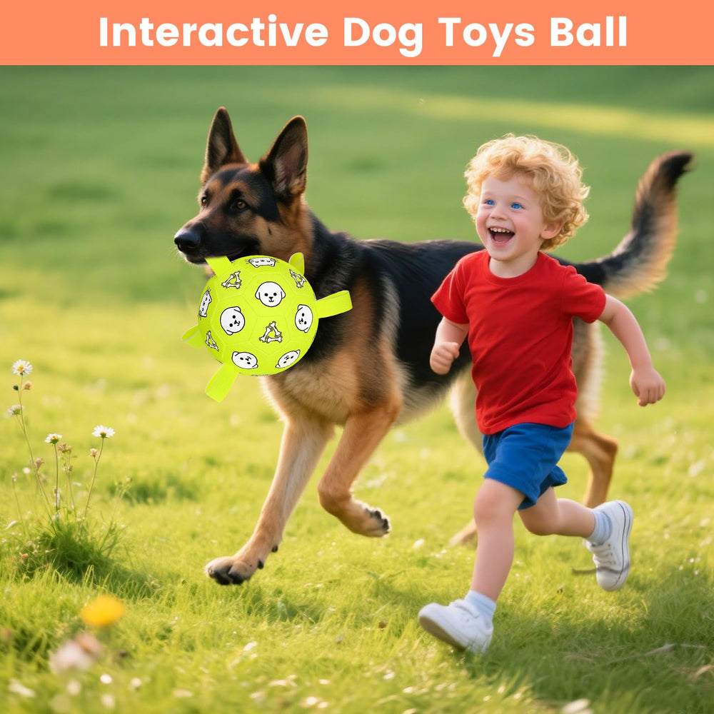Regalo divertido para perros pequeños y medianos con 5–40 libras.