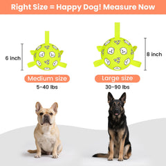 Balón para perros WYNTRIUM con correas, ideal para tirar y jugar