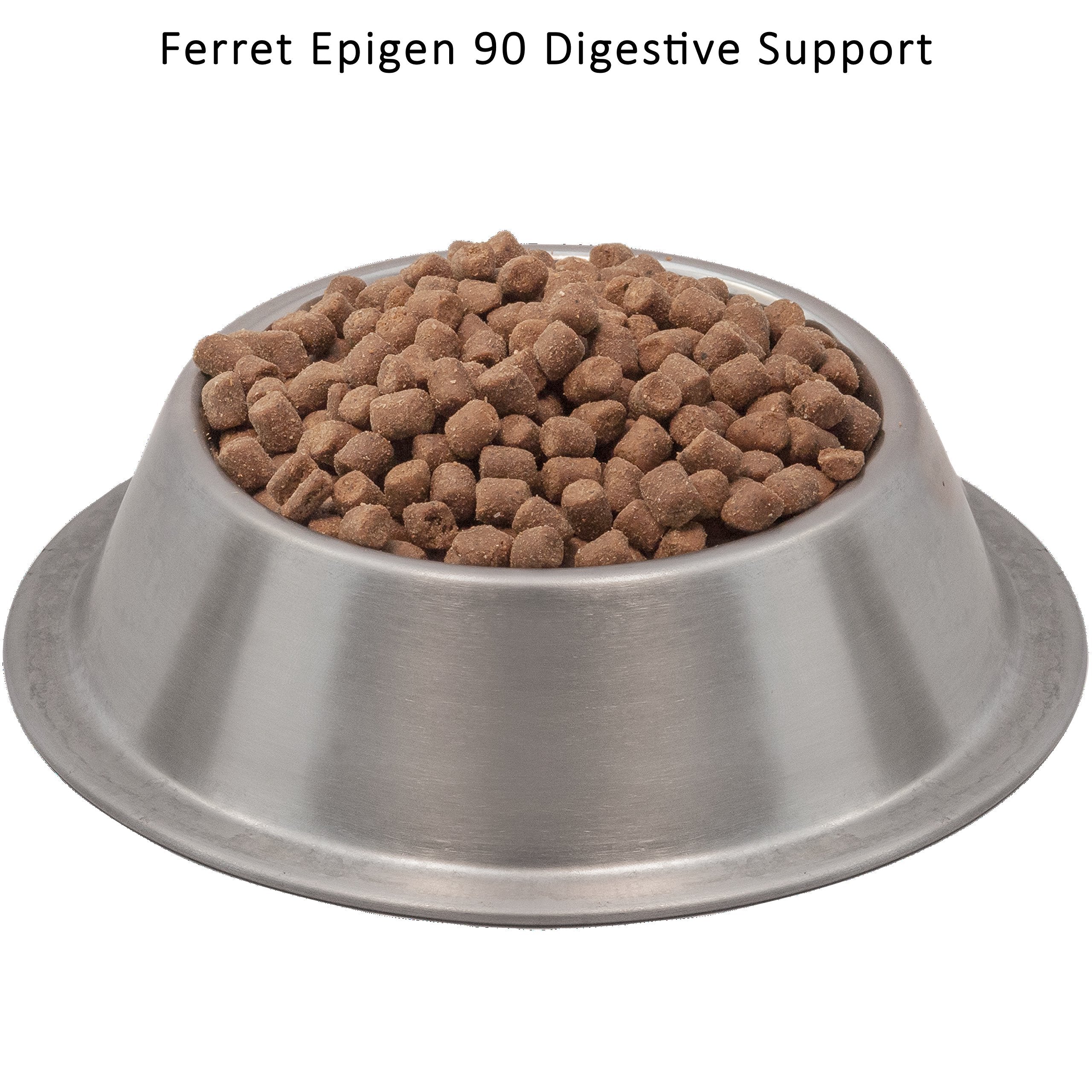 Hurón comiendo Ferret Epigen 90, alimento seco sin almidón para salud digestiva