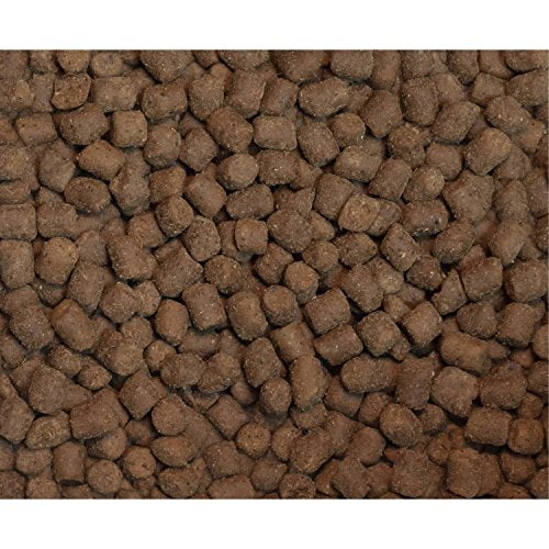 Wysong Ferret Epigen 90 ingredientes clave sin almidón y proteína alta.